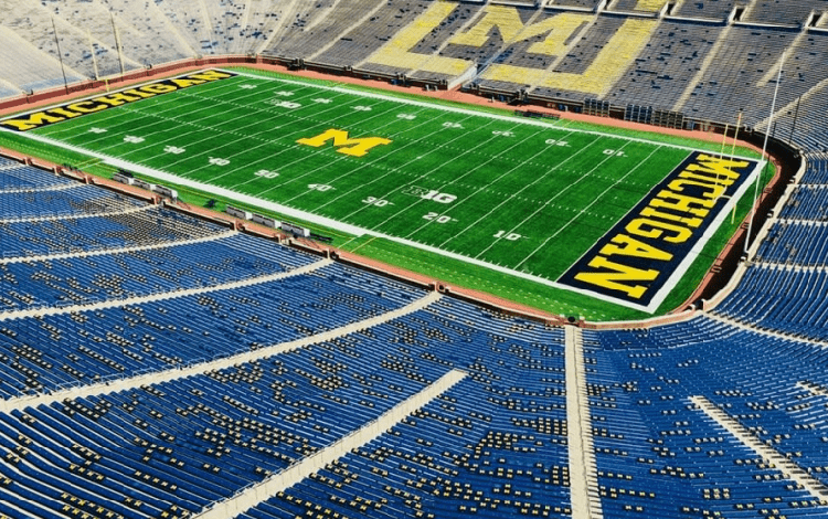 The online sports betting business in Michigan is expanding, with February sales topping $300 million.